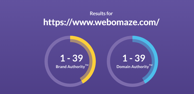 Brand Authority vs Domain Authority